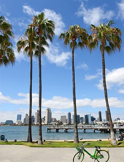 A bicycle parked in front of palm trees with a view of the ocean and downtown San Diego, CA
