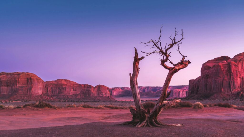 monument-valley-resort-pass