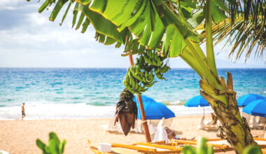 resorts-in-maui