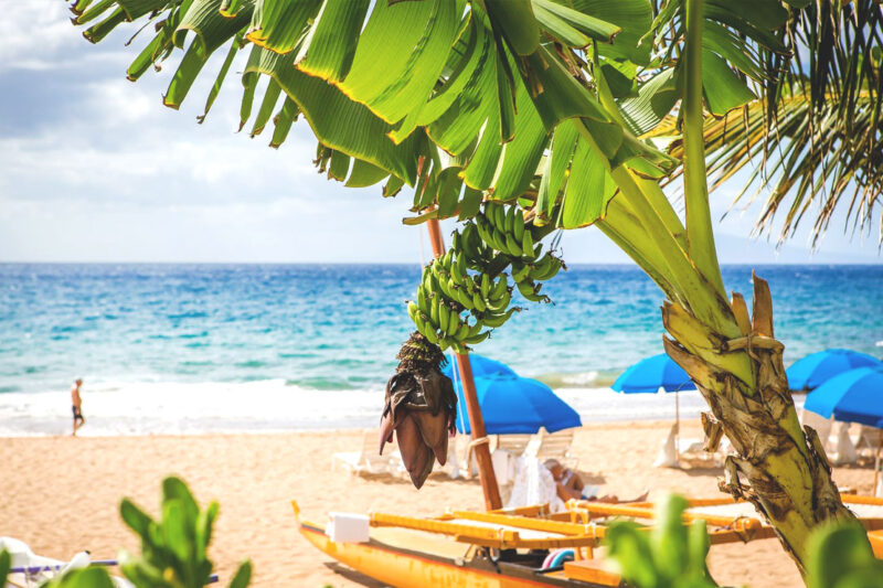 resorts-in-maui