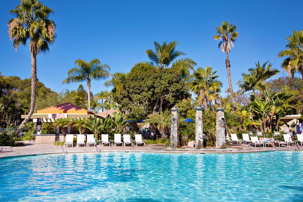 Palm-lined pool at Paradise Point Resort & Spa in San Diego